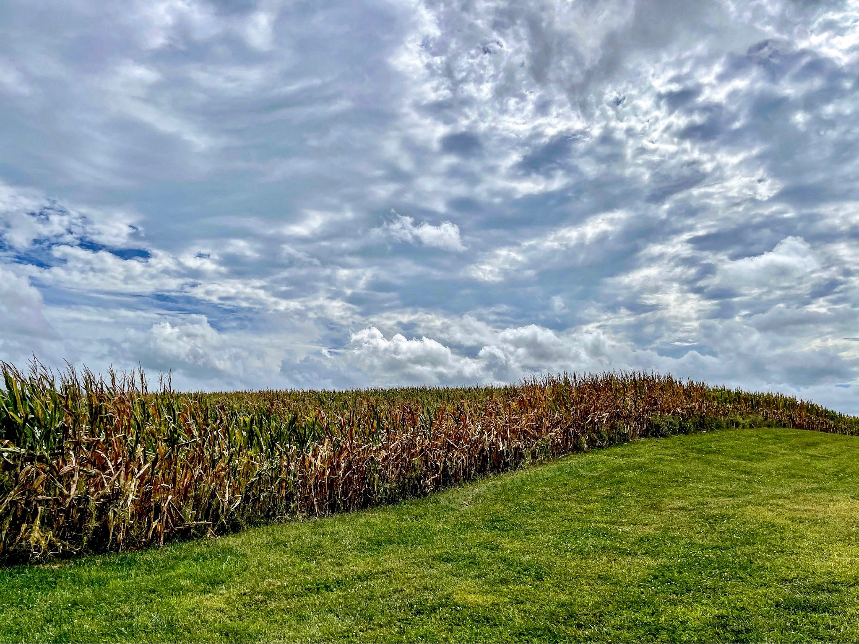 Taking Time to Enjoy Salem County