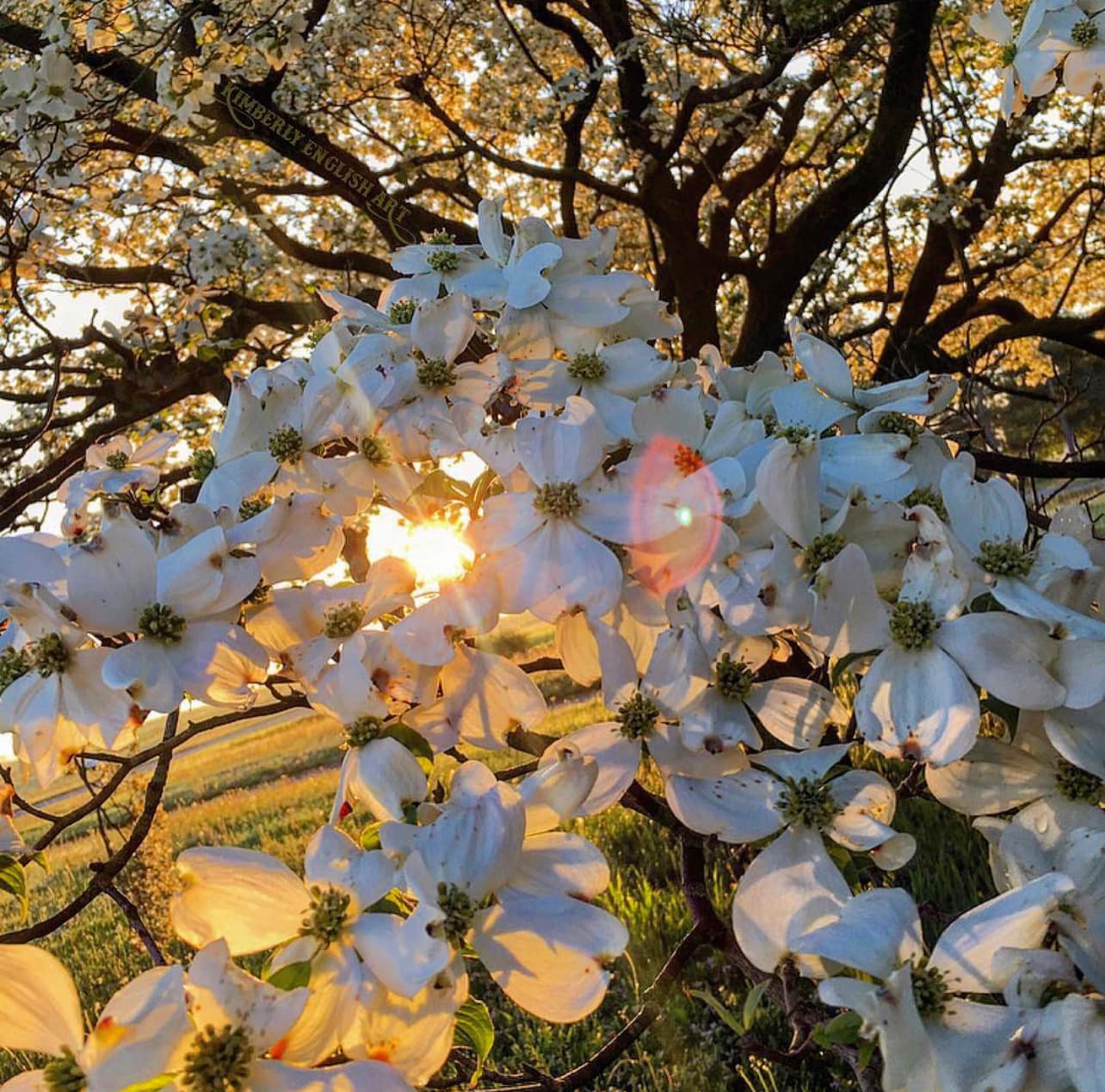 Looking for Farm Contacts