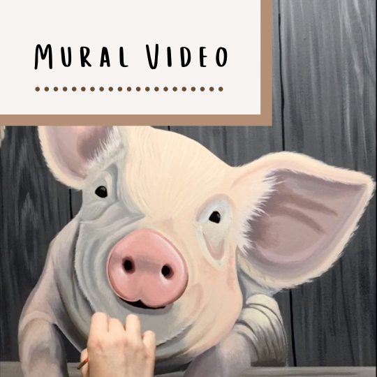 Mural Timelapse Video