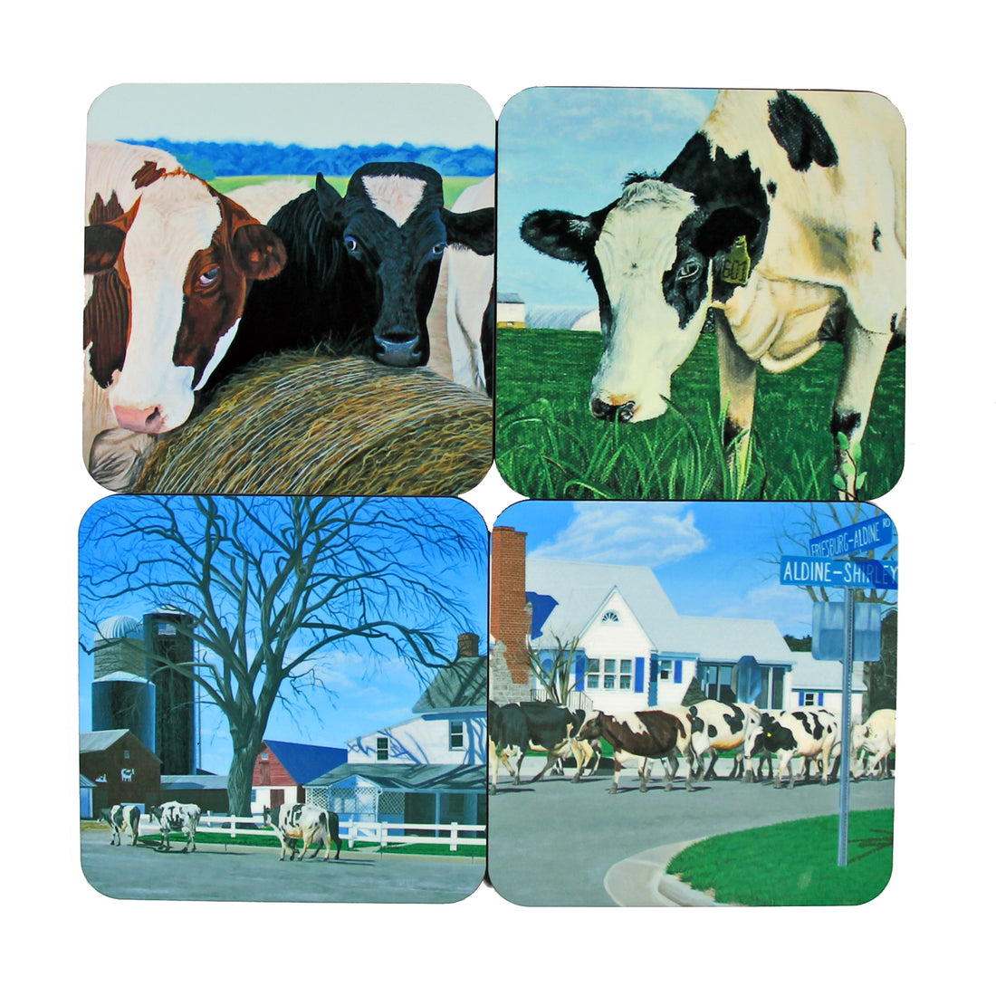 Coaster Set: Cow Paintings