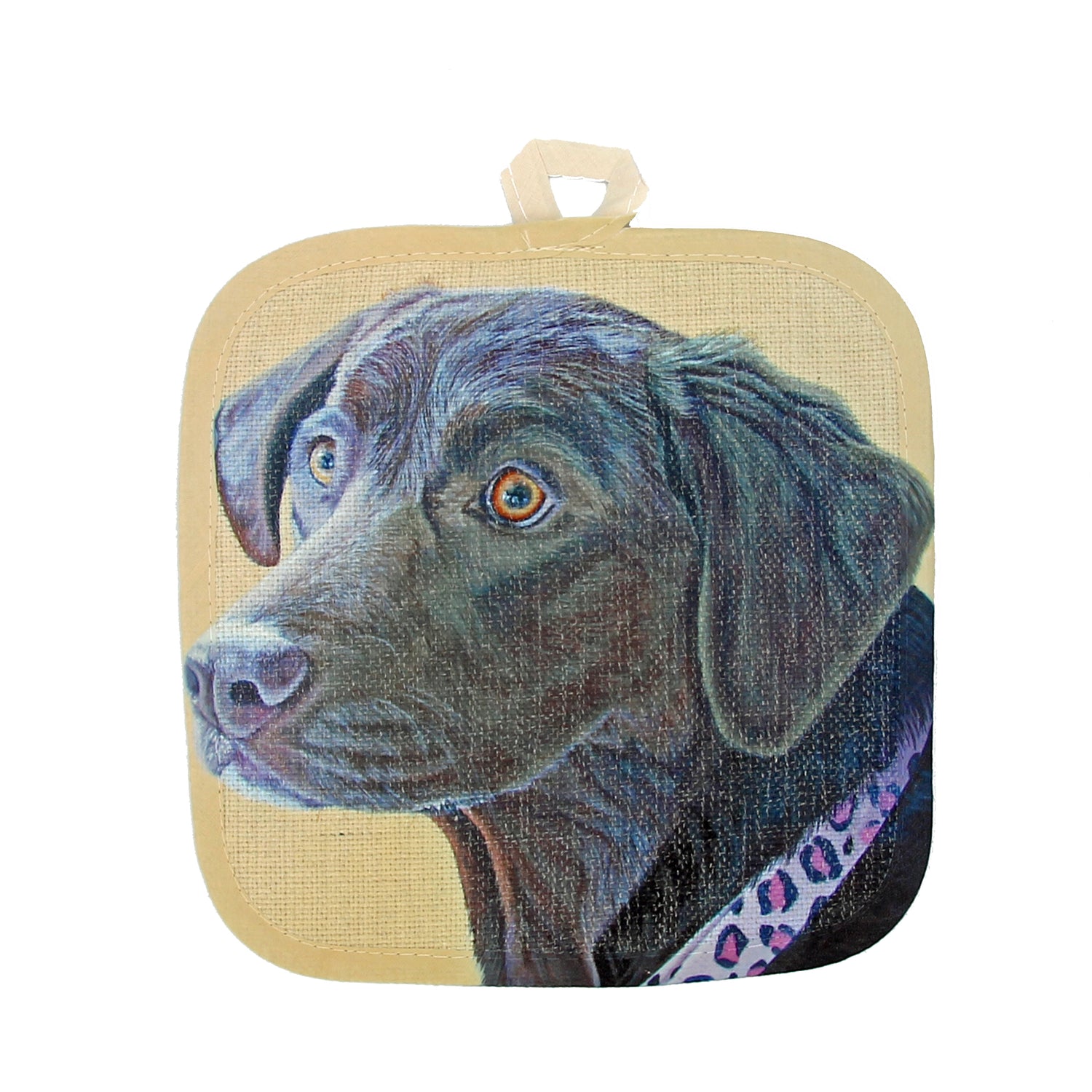 Sun-Kissed Abby Pot Holder