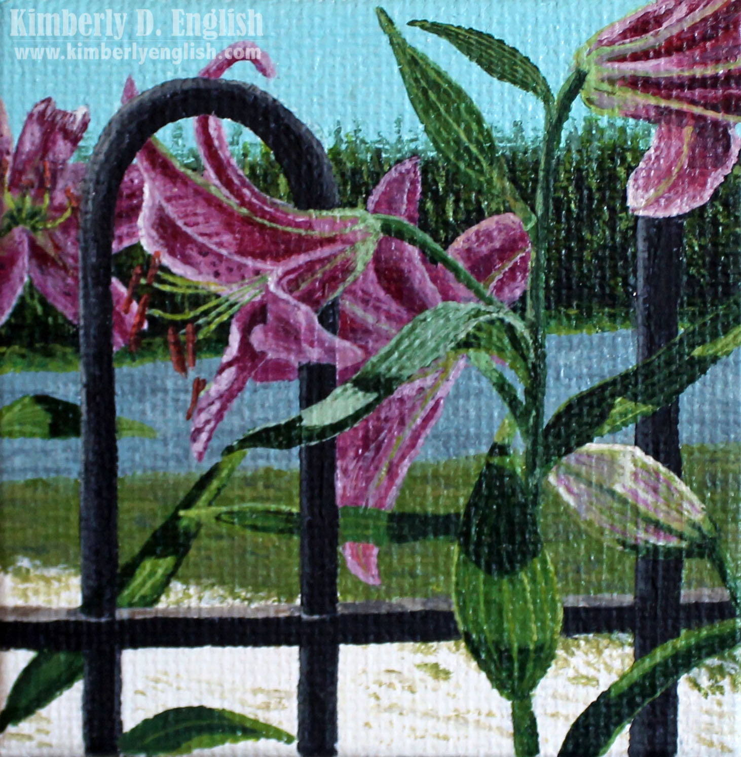 Sunday Stars II Print