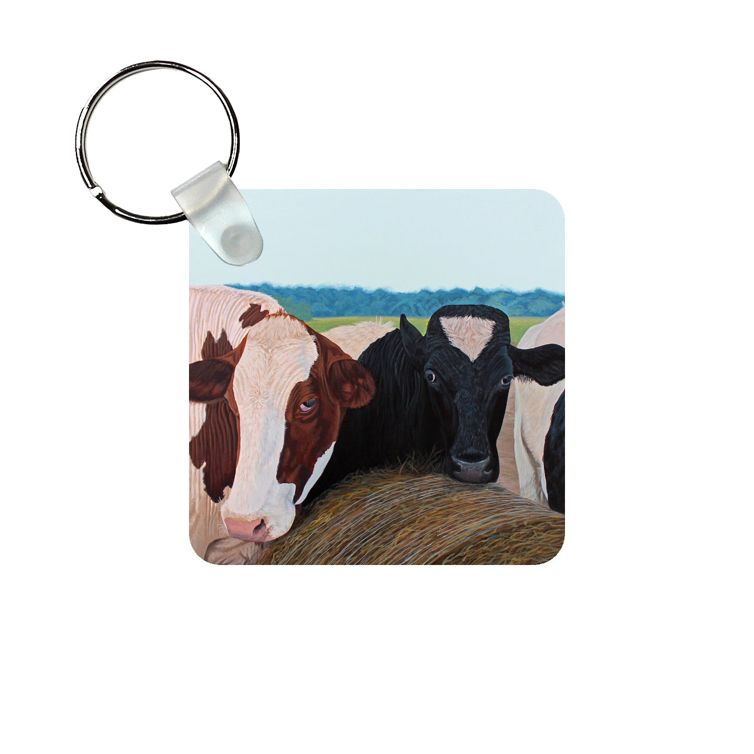 The Neighbors Keychain