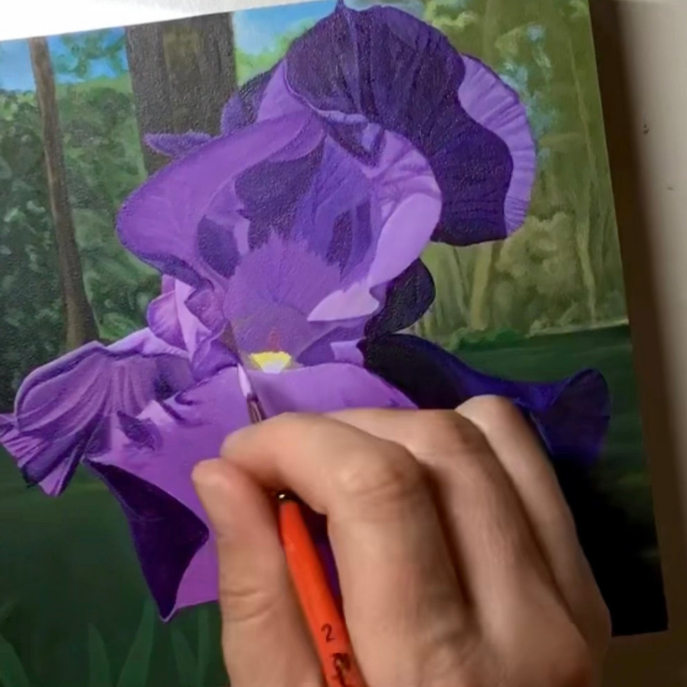 Iris Painting Time Lapse Video with Kimberly English
