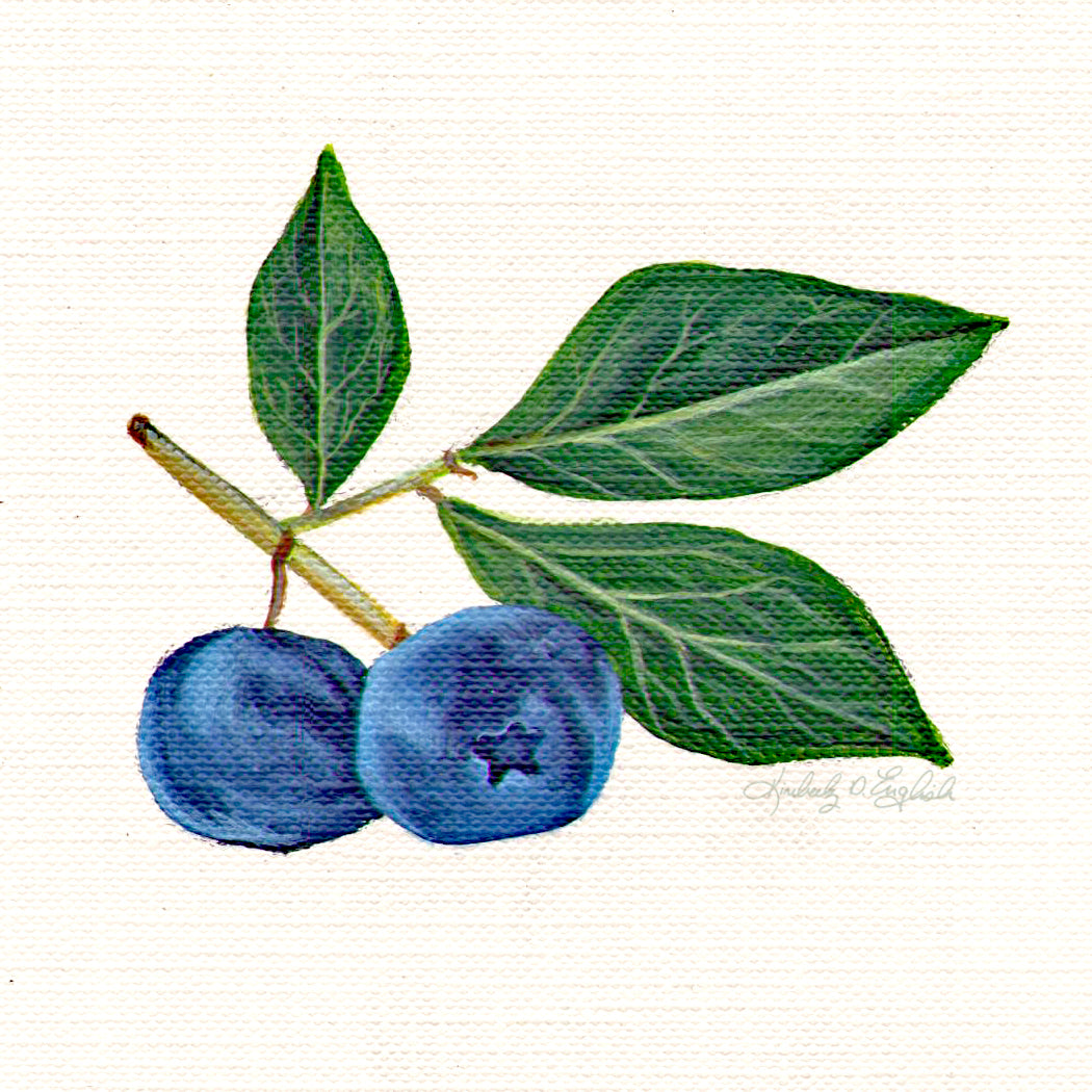 Jersey Fresh: Blueberries