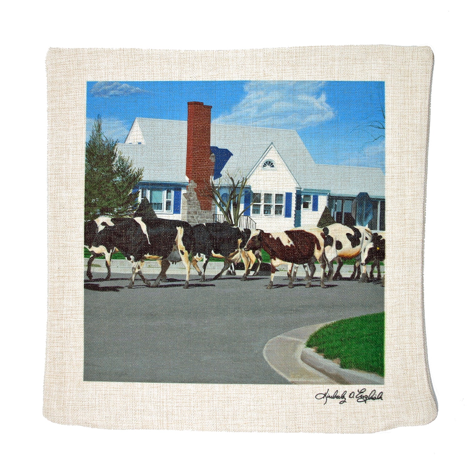 Caught in Another Country Moment Pillow Sham