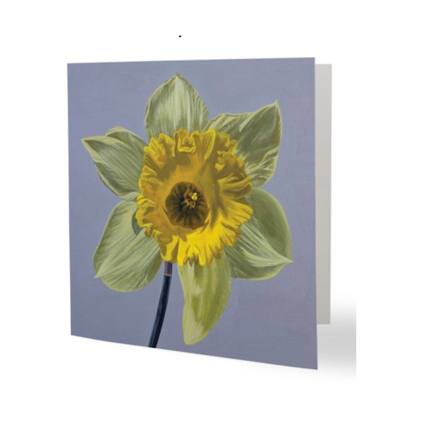 Hope After Darkness Greeting Card