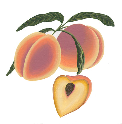 Jersey Fresh: Peaches